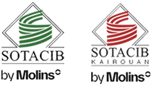 logo sotacib